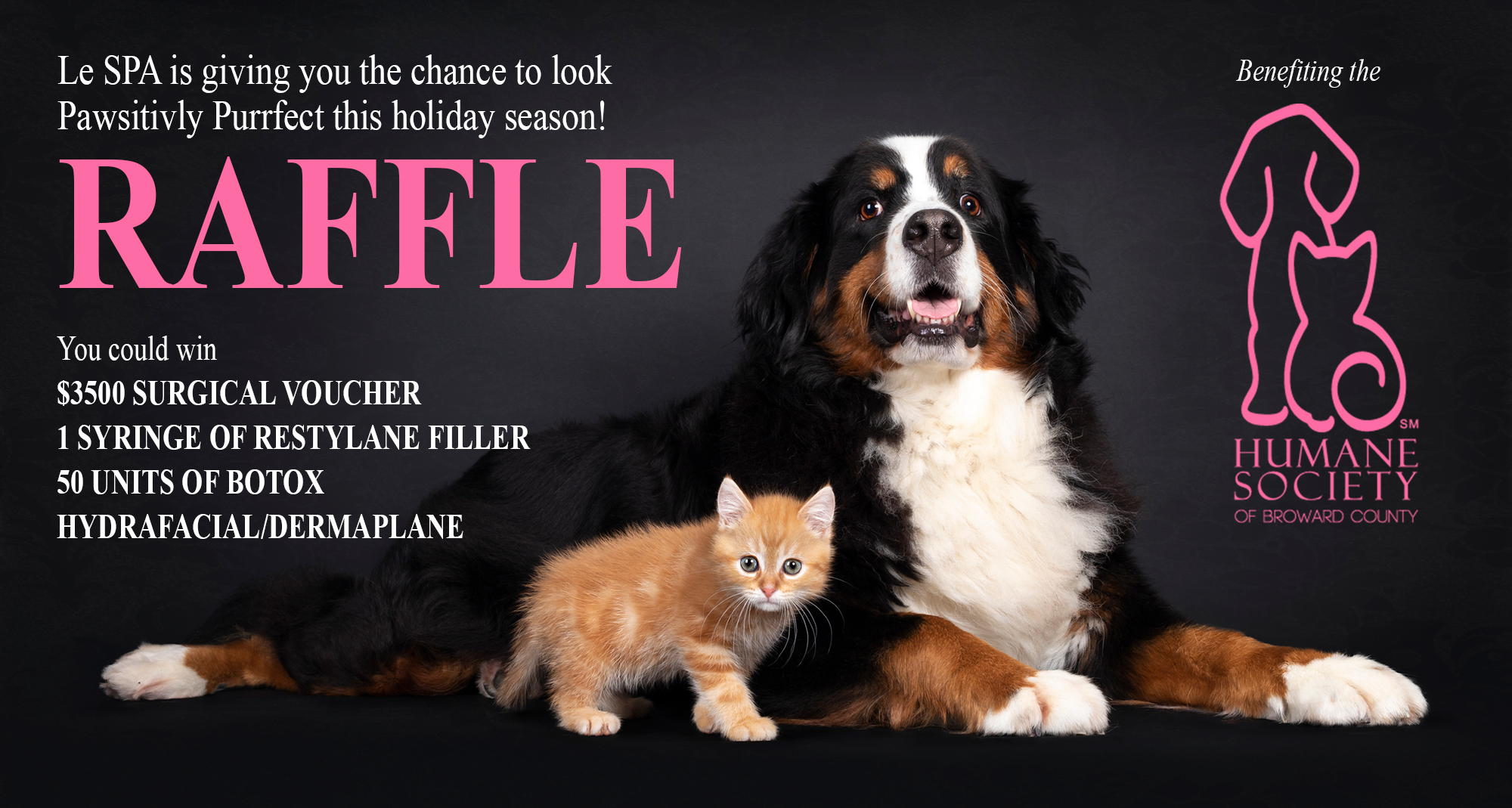 raffle-banner